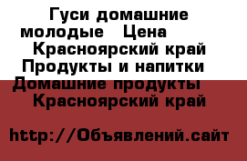 Гуси домашние молодые › Цена ­ 400 - Красноярский край Продукты и напитки » Домашние продукты   . Красноярский край